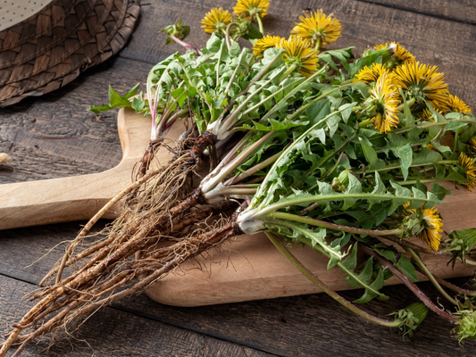 Blooming Beauties: A Guide to Spring Plants and Flowers for Delicious Teas