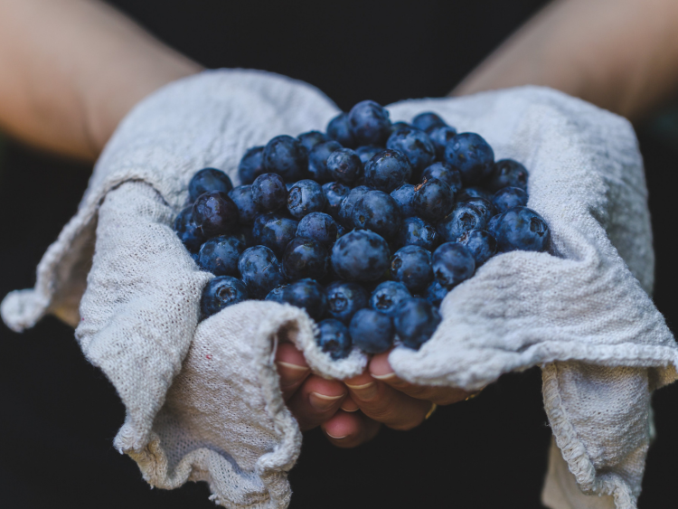 Harvesting Goodness: The Blissful Blend of Dried Blueberries in Your Tea